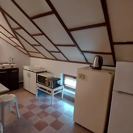 радеви * Obzor